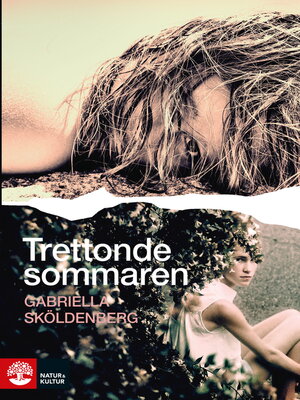 cover image of Trettonde sommaren